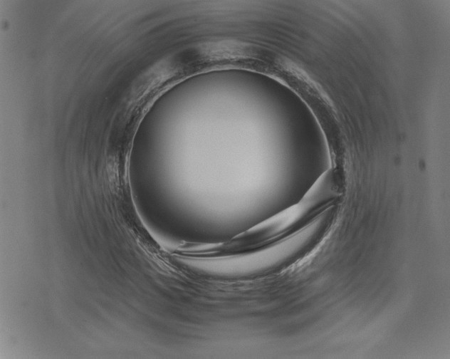 X0000077340825200610201257
