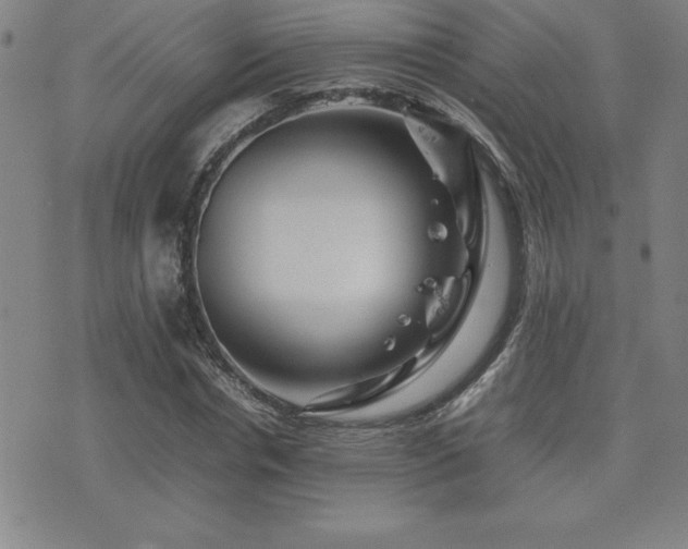 X0000077340826200610201257