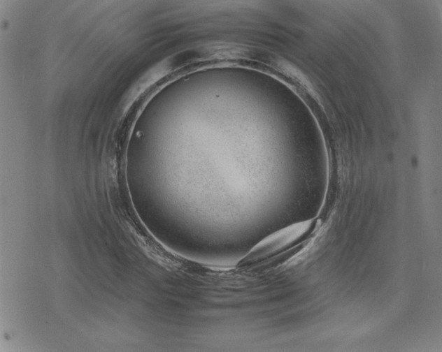 X0000077340827200610201257