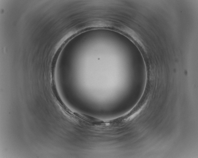 X0000077340837200610201257