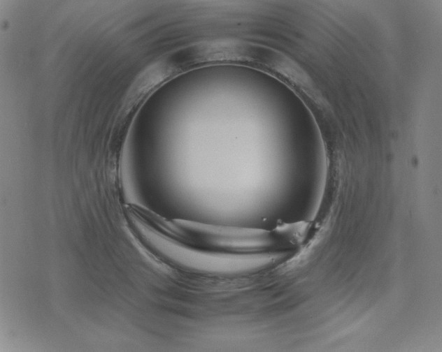 X0000077340841200610201257