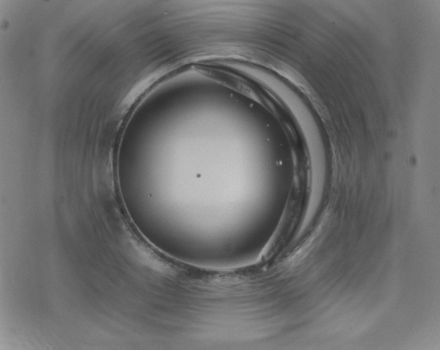 X0000077340842200610201257