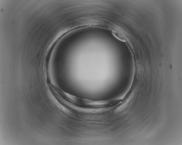 X0000077340843200610201257
