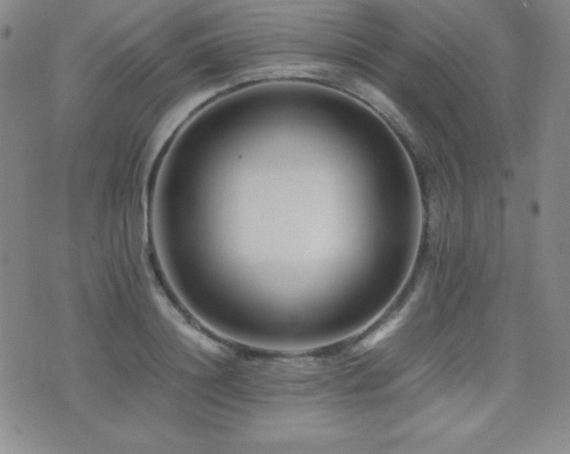X0000077340844200610201257