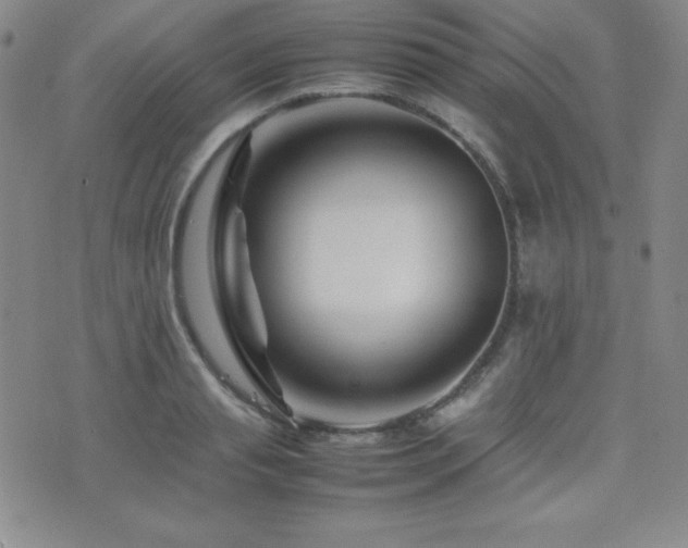 X0000077340845200610201257