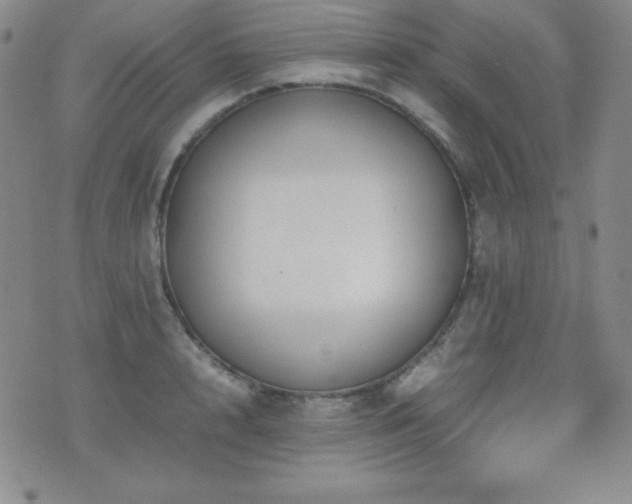 X0000077340848200610201257