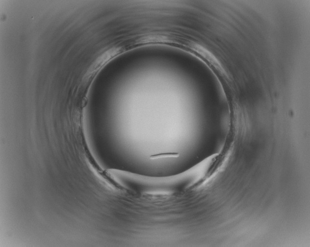 X0000077340849200610201257