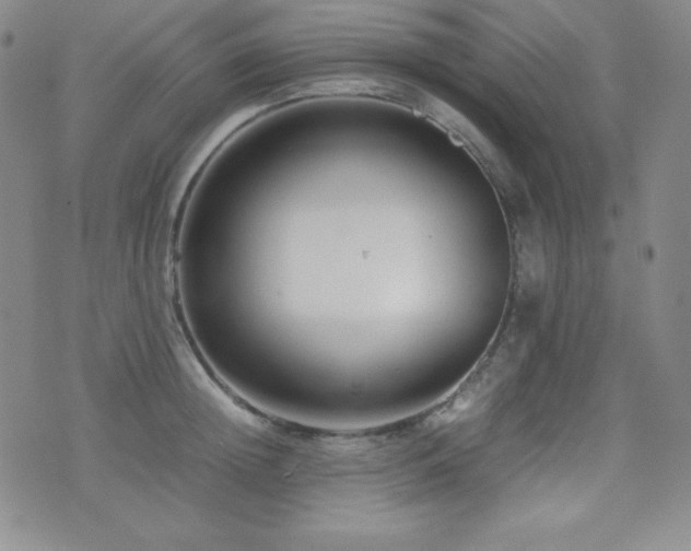 X0000077340852200610201257