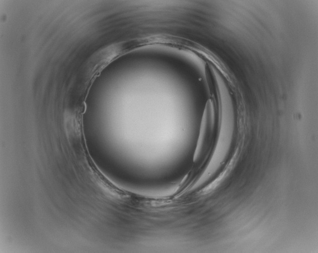 X0000077340857200610201257