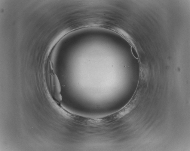 X0000077340859200610201257