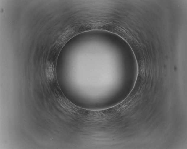 X0000077340866200610201257