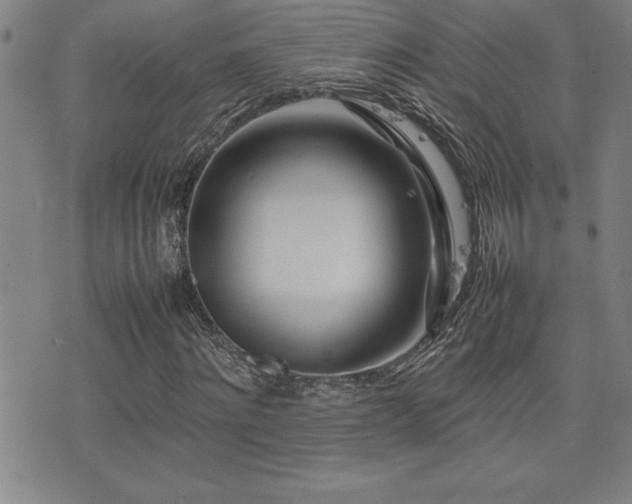 X0000077340868200610201257