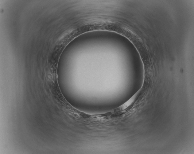 X0000077340869200610201257