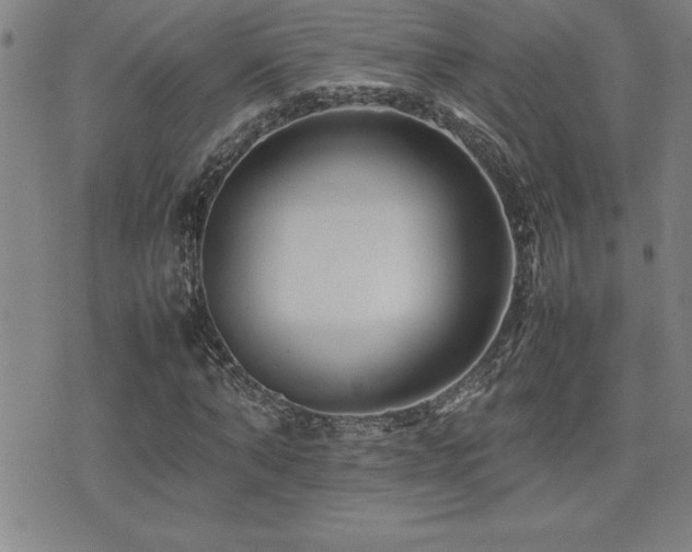 X0000077340870200610201256