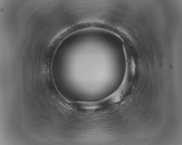 X0000077340872200610201256