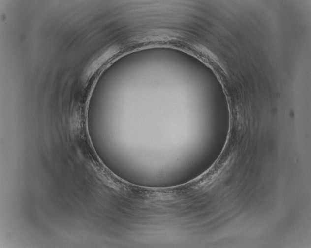 X0000077340874200610201256