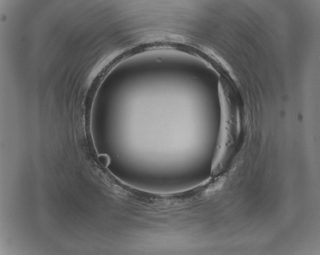 X0000077340877200610201256