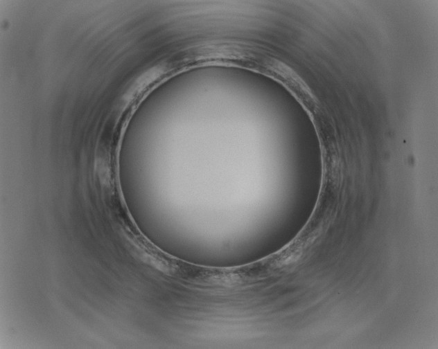 X0000077340882200610201256