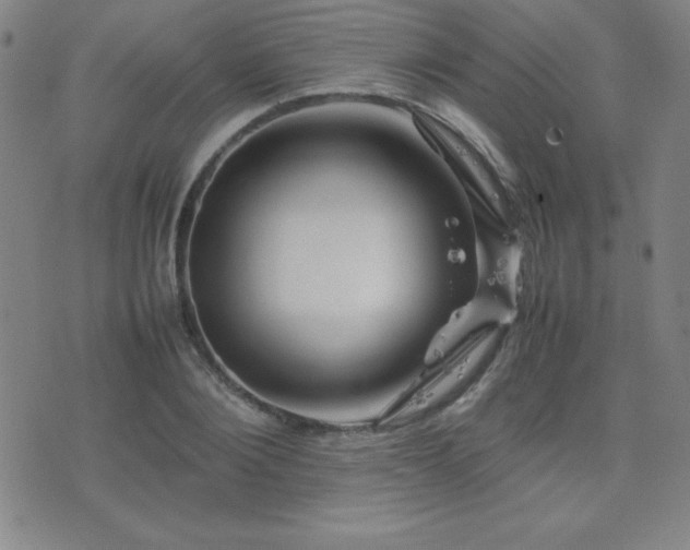 X0000077340884200610201256