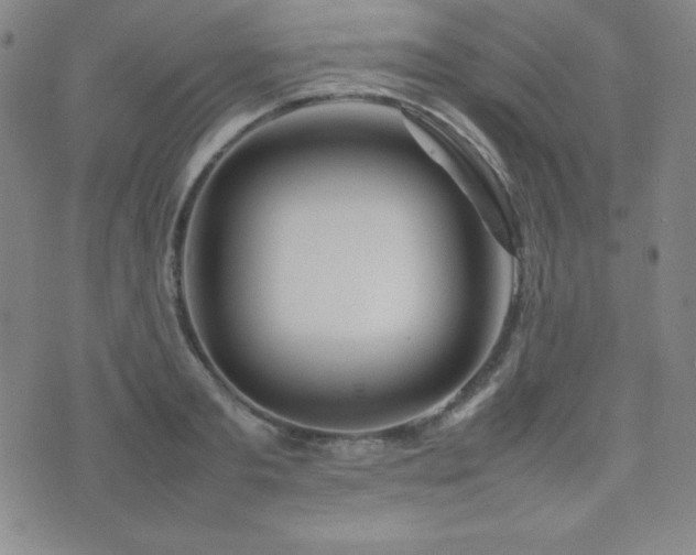 X0000077340893200610201256