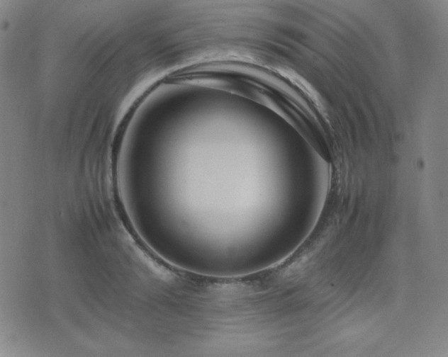 X0000077340894200610201256