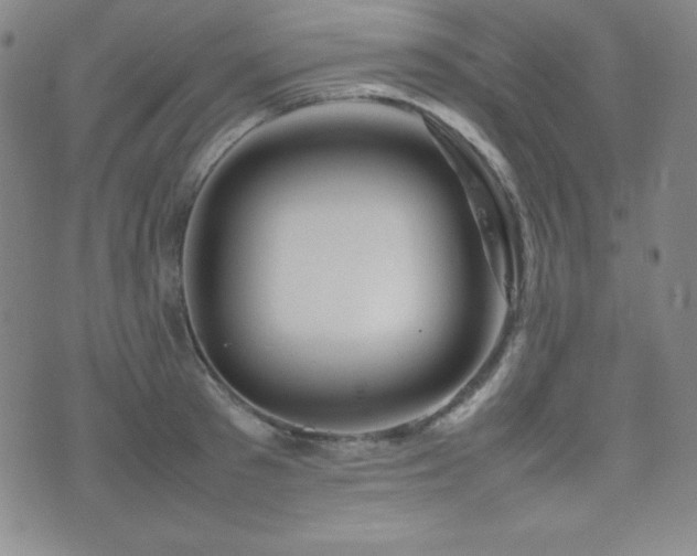 X0000077340897200610201256