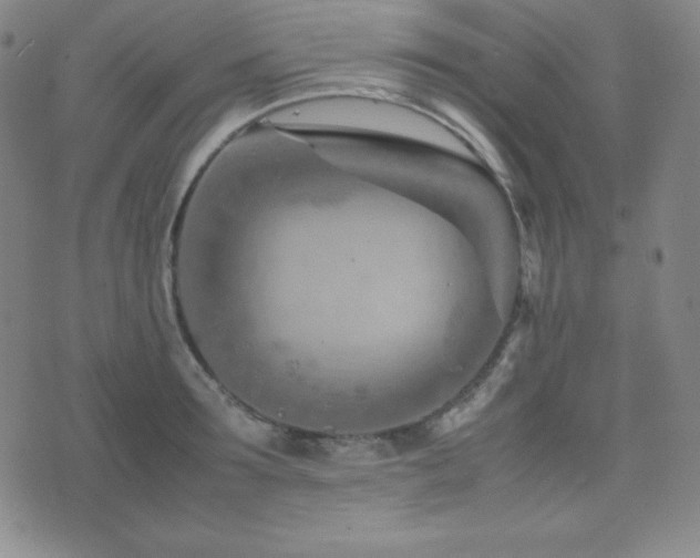 X0000077340899200610201256