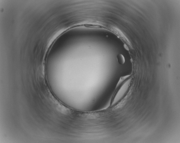 X0000077340900200610201256