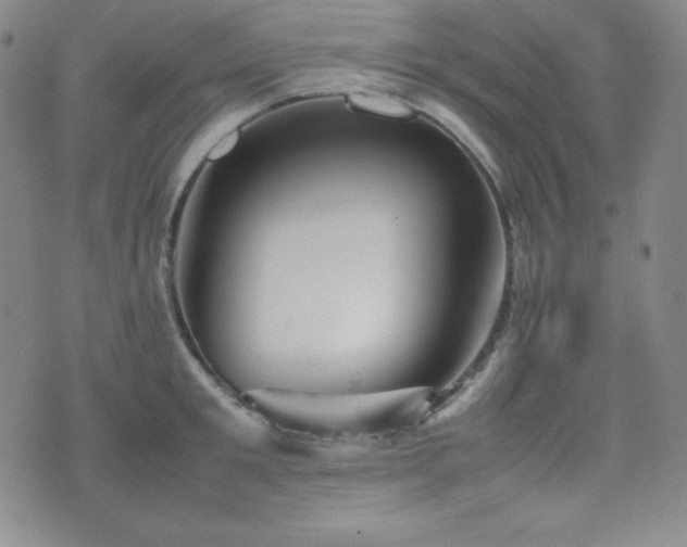 X0000077340901200610201256