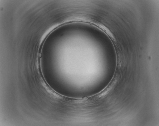 X0000077340904200610201256