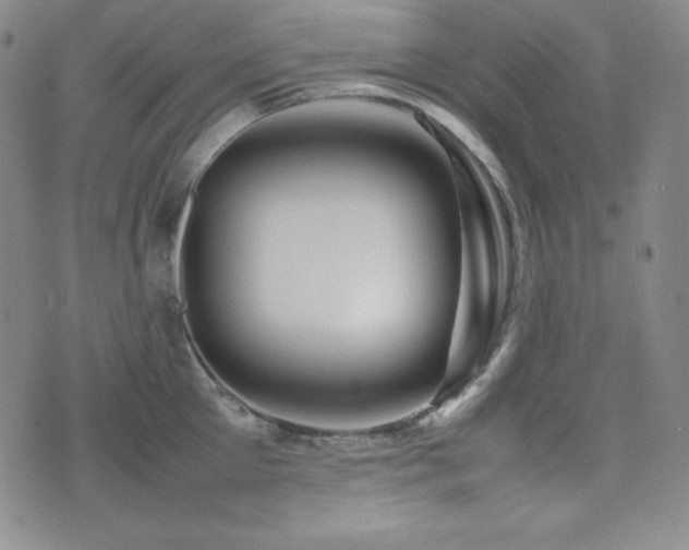 X0000077340905200610201256