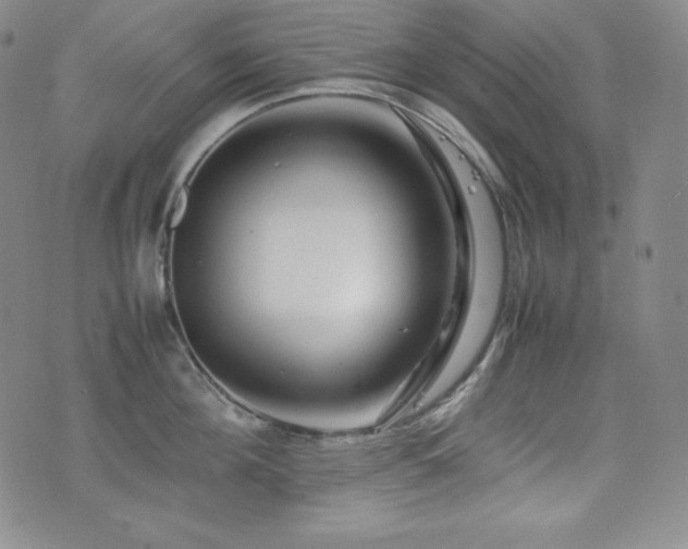 X0000077340908200610201256