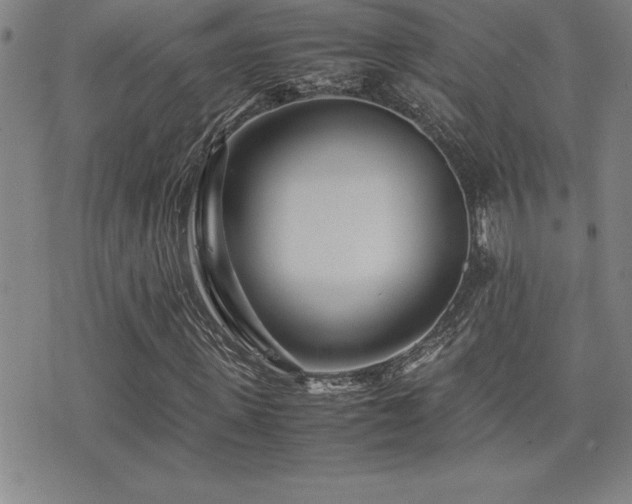 X0000077340915200610201255