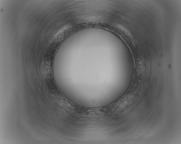 X0000077340918200610201255