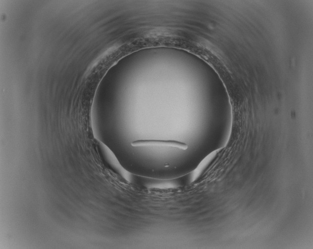 X0000077340919200610201255