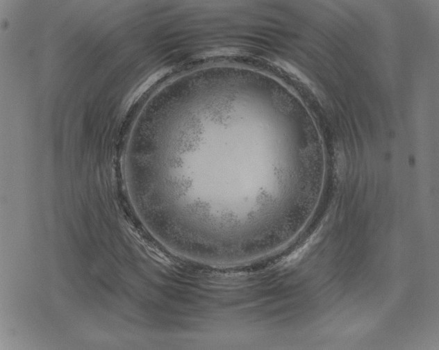 X0000077340921200610201255