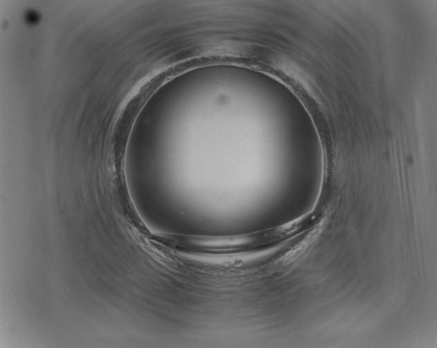 X0000077340923200610201255