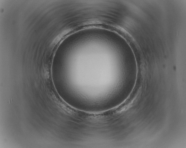 X0000077340929200610201255