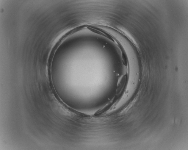 X0000077340932200610201255
