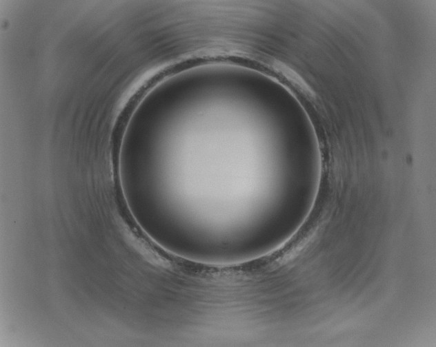 X0000077340934200610201255