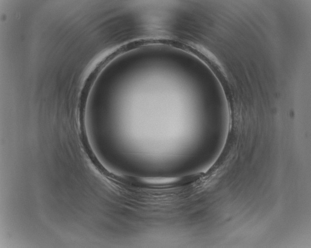 X0000077340935200610201255