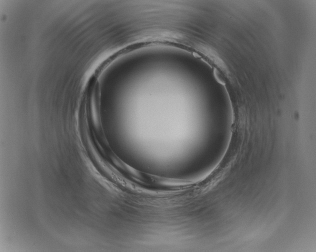 X0000077340936200610201255