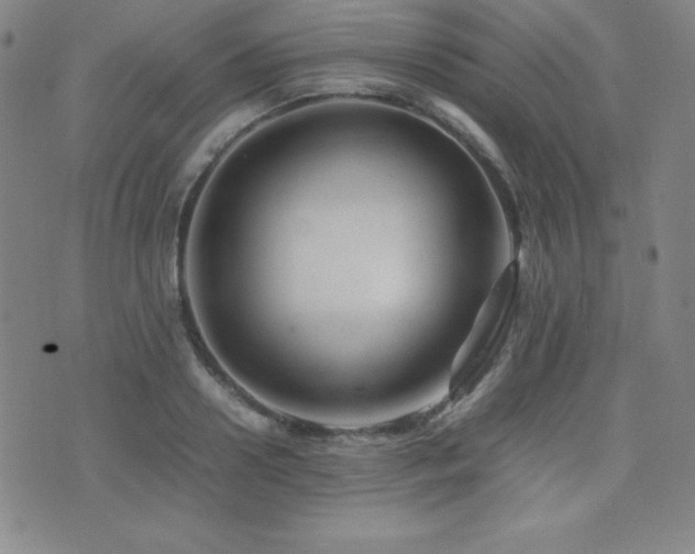 X0000077340938200610201255