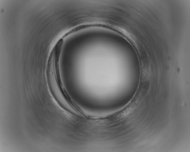 X0000077340943200610201256
