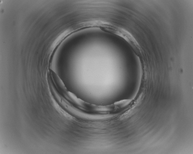 X0000077340946200610201256