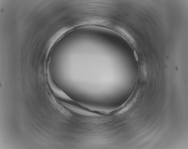 X0000077340948200610201256