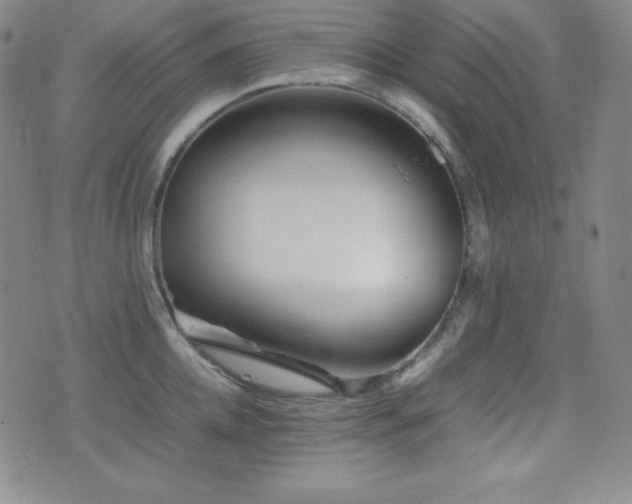X0000077340952200610201256
