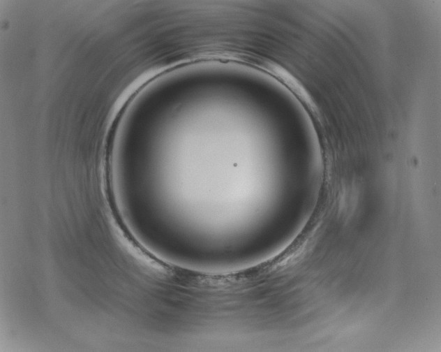X0000077340955200610201256