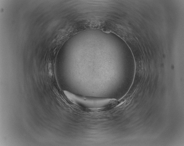 X0000077340962200610201255