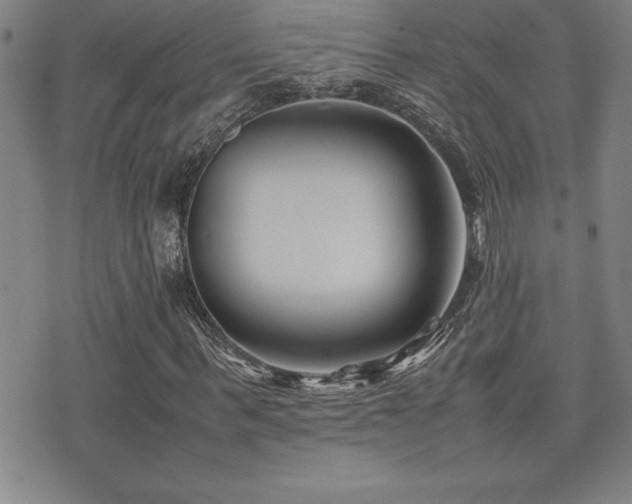 X0000077340963200610201255
